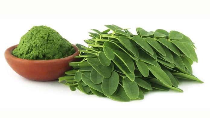 Poudre de Moringa